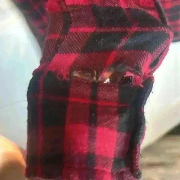 Women's Poetry Brand Flannel Shirt, Size Large - Picture 4 of 5